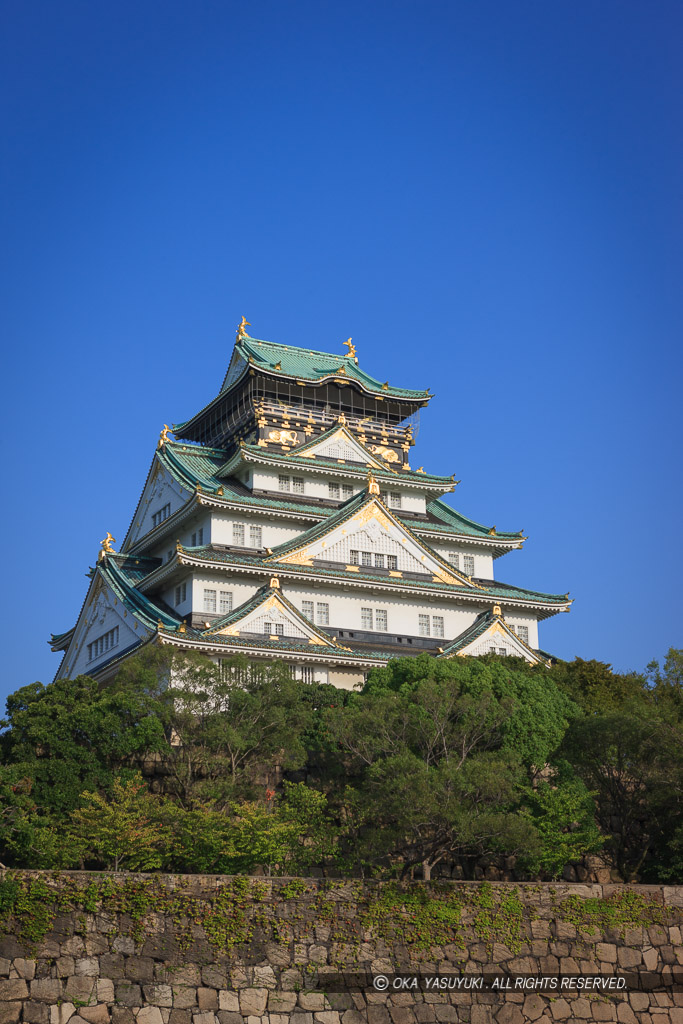 西の丸から大阪城天守閣