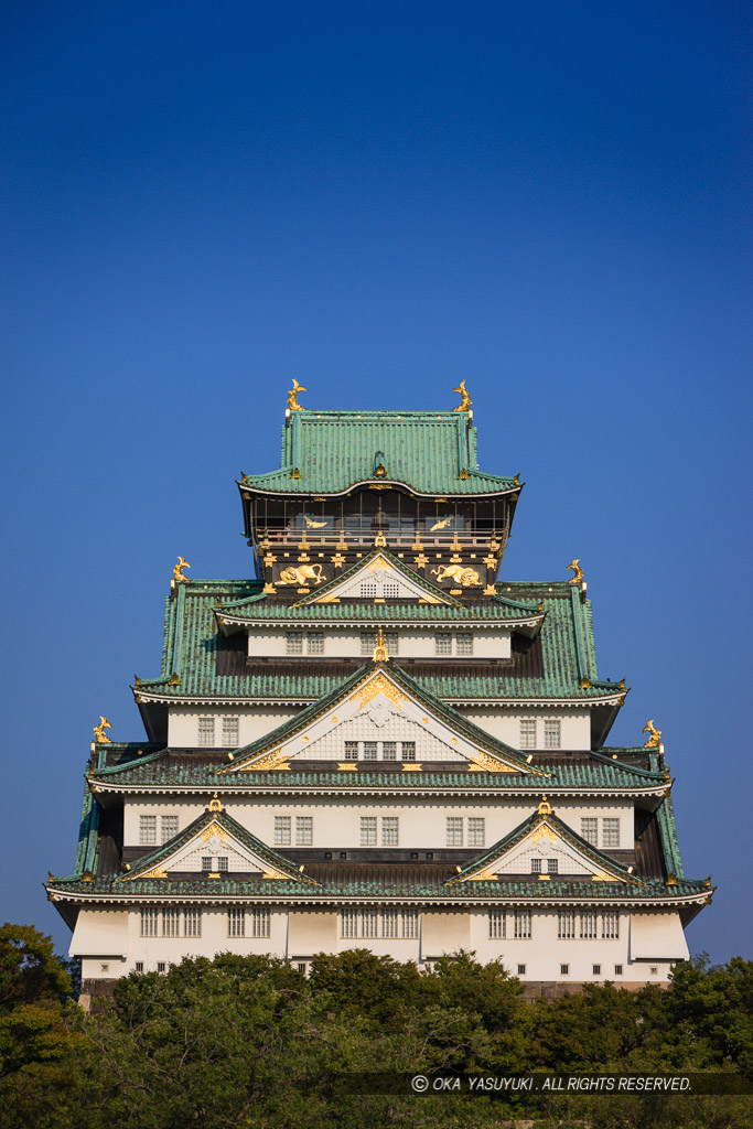 西の丸から大阪城天守閣