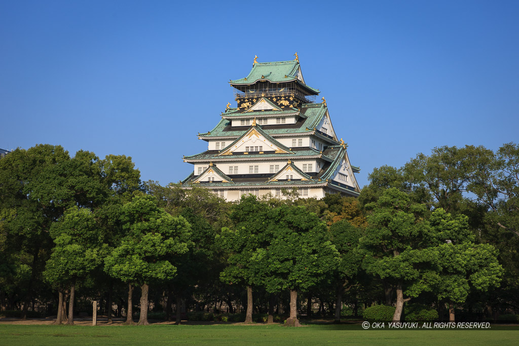 西の丸から大阪城天守閣