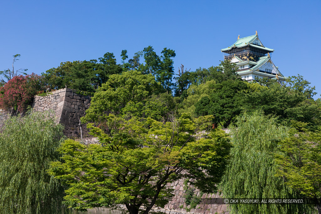 青屋口から天守を望む