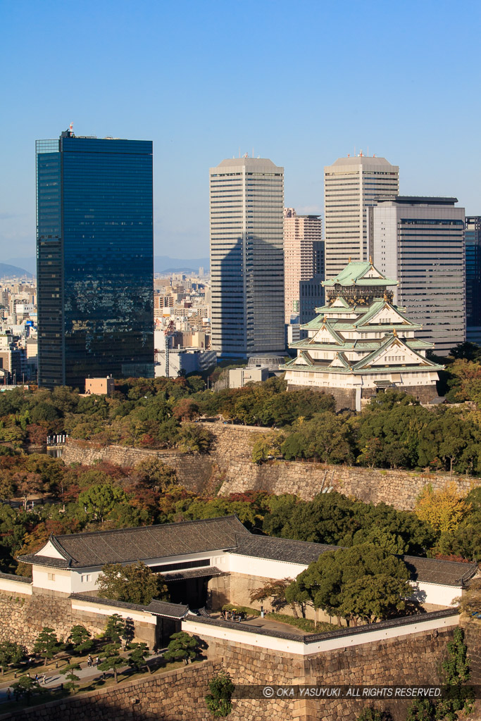 大阪歴史博物館から望む大阪城天守閣