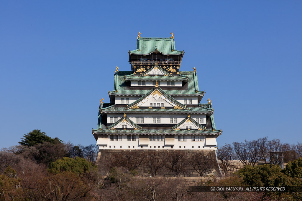 西の丸庭園から大阪城天守閣