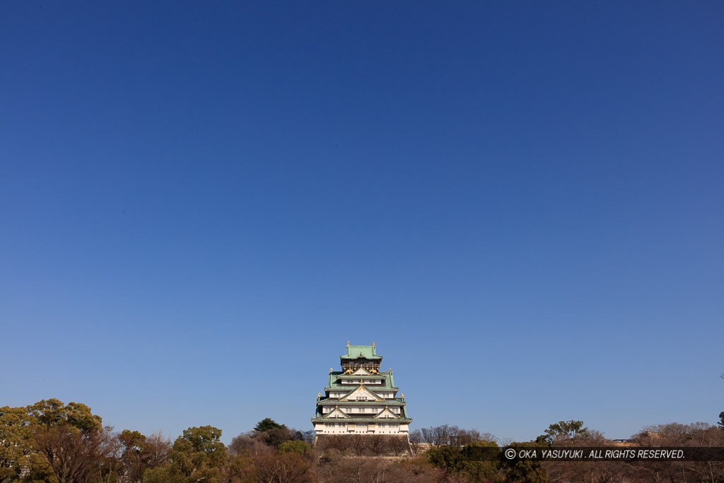 西の丸庭園から大阪城天守閣