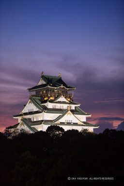 大阪城のライトアップ｜高解像度画像サイズ：3414 x 5121 pixels｜写真番号：1DXL2678｜撮影：Canon EOS-1D X