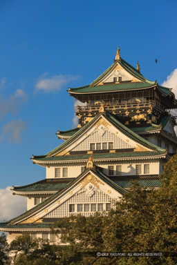 旧第四師団司令部庁舎から大阪城天守閣|高解像度画像サイズ:3604 x 5406 pixels|写真番号:1P3J1305|撮影:Canon EOS-1Ds Mark III