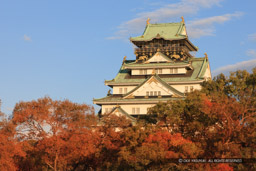 紅葉の大阪城｜高解像度画像サイズ：5379 x 3586 pixels｜写真番号：1P3J1320｜撮影：Canon EOS-1Ds Mark III