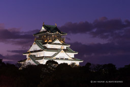 大阪城のライトアップ｜高解像度画像サイズ：5320 x 3547 pixels｜写真番号：1P3J1422｜撮影：Canon EOS-1Ds Mark III