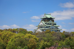 春の大阪城｜高解像度画像サイズ：5534 x 3689 pixels｜写真番号：1P3J1510｜撮影：Canon EOS-1Ds Mark III