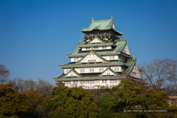 西の丸から大阪城天守閣｜高解像度画像サイズ：5616 x 3744 pixels｜写真番号：1P3J2177｜撮影：Canon EOS-1Ds Mark III