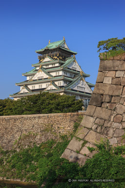 夏の大阪城｜高解像度画像サイズ：3605 x 5408 pixels｜写真番号：1P3J4221｜撮影：Canon EOS-1Ds Mark III