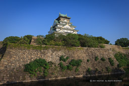 西の丸から大阪城天守閣｜高解像度画像サイズ：5590 x 3727 pixels｜写真番号：1P3J4223｜撮影：Canon EOS-1Ds Mark III