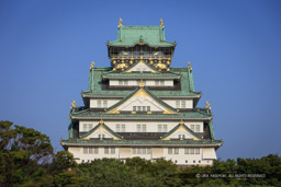 西の丸から大阪城天守閣｜高解像度画像サイズ：5616 x 3744 pixels｜写真番号：1P3J4243｜撮影：Canon EOS-1Ds Mark III