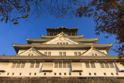 大阪城天守閣西面・秋|高解像度画像サイズ:5539 x 3692 pixels|写真番号:1P3J8914|撮影:Canon EOS-1Ds Mark III