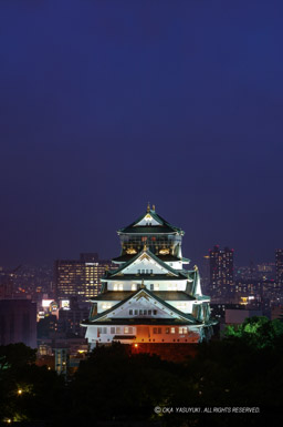 KKRホテル大阪からライトアップ|高解像度画像サイズ:2704 x 4064 pixels|写真番号:53BS4648-Edit|撮影:Canon EOS-1DS