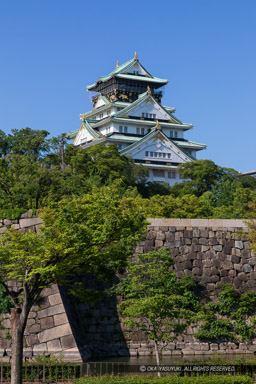 青屋門付近から大阪城天守閣|高解像度画像サイズ:4415 x 6622 pixels|写真番号:5D4A1199|撮影:Canon EOS 5D Mark IV