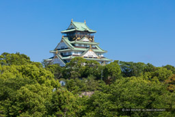 玉造口から見る大阪城天守閣｜高解像度画像サイズ：6284 x 4189 pixels｜写真番号：5D4A1266｜撮影：Canon EOS 5D Mark IV