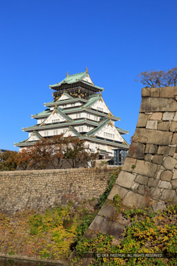 秋の大阪城｜高解像度画像サイズ：4271 x 6407 pixels｜写真番号：5D4A2830｜撮影：Canon EOS 5D Mark IV