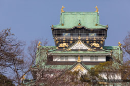 東外堀付近から大阪城天守閣|高解像度画像サイズ:6720 x 4480 pixels|写真番号:5D4A7708|撮影:Canon EOS 5D Mark IV