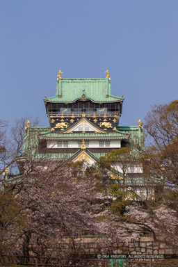 東外堀付近から大阪城天守閣|高解像度画像サイズ:4480 x 6720 pixels|写真番号:5D4A7710|撮影:Canon EOS 5D Mark IV