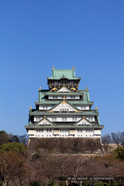 西の丸庭園から大阪城天守閣|高解像度画像サイズ:5792 x 8688 pixels|写真番号:5DSA7379|撮影:Canon EOS 5DS