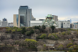 ホテルニューオータニから(林田公範氏撮影)|高解像度画像サイズ:3888 x 2592 pixels|写真番号:IMG_4128|撮影:Canon EOS 40D