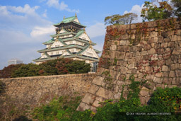 秋の大阪城｜高解像度画像サイズ：4909 x 3273 pixels｜写真番号：VJ7Z3932｜撮影：Canon EOS-1Ds Mark II