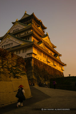 姫門跡から大阪城天守閣を望む|高解像度画像サイズ:3328 x 4992 pixels|写真番号:VJ7Z4038|撮影:Canon EOS-1Ds Mark II