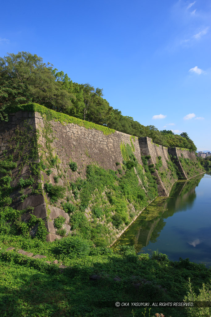 本丸石垣・空堀・水堀