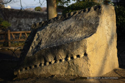 刻印石材｜高解像度画像サイズ：5616 x 3744 pixels｜写真番号：1P3J0505｜撮影：Canon EOS-1Ds Mark III