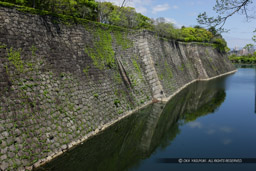 本丸石垣・日本一の高さ｜高解像度画像サイズ：5616 x 3744 pixels｜写真番号：1P3J1507｜撮影：Canon EOS-1Ds Mark III