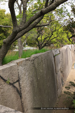 蛸石上部｜高解像度画像サイズ：3744 x 5616 pixels｜写真番号：1P3J1545｜撮影：Canon EOS-1Ds Mark III