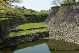 東側本丸空堀東側｜高解像度画像サイズ：5465 x 3644 pixels｜写真番号：1P3J2682｜撮影：Canon EOS-1Ds Mark III