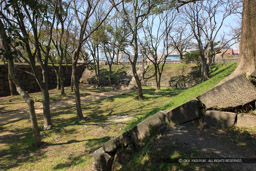 京橋口付近の曲輪｜高解像度画像サイズ：5428 x 3619 pixels｜写真番号：1P3J3598｜撮影：Canon EOS-1Ds Mark III