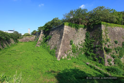 本丸空堀｜高解像度画像サイズ：5576 x 3717 pixels｜写真番号：1P3J6852｜撮影：Canon EOS-1Ds Mark III