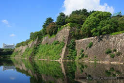 本丸石垣・日本一の高さ|高解像度画像サイズ:5301 x 3534 pixels|写真番号:1P3J6858|撮影:Canon EOS-1Ds Mark III