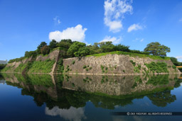 本丸石垣・水堀｜高解像度画像サイズ：5489 x 3659 pixels｜写真番号：1P3J6869｜撮影：Canon EOS-1Ds Mark III