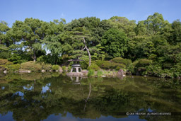 日本庭園｜高解像度画像サイズ：5542 x 3694 pixels｜写真番号：1P3J6926｜撮影：Canon EOS-1Ds Mark III