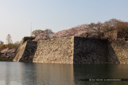 東南の隠し曲輪・東外堀|高解像度画像サイズ:6720 x 4480 pixels|写真番号:5D4A7718|撮影:Canon EOS 5D Mark IV