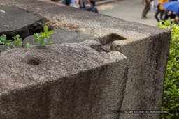 ちぎり・桜門｜高解像度画像サイズ：6720 x 4480 pixels｜写真番号：5D4A8248｜撮影：Canon EOS 5D Mark IV