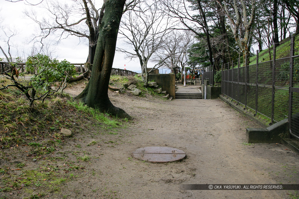 現大阪城本丸東側