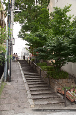 榎木大明神・熊野街道・空堀への段差|高解像度画像サイズ:3257 x 4885 pixels|写真番号:1DXL1334|撮影:Canon EOS-1D X