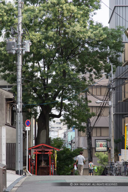 榎木大明神・熊野街道｜高解像度画像サイズ：3329 x 4994 pixels｜写真番号：1DXL1342｜撮影：Canon EOS-1D X