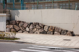 大手門学院小学校の豊臣石垣|高解像度画像サイズ:5578 x 3719 pixels|写真番号:1P3J3630|撮影:Canon EOS-1Ds Mark III