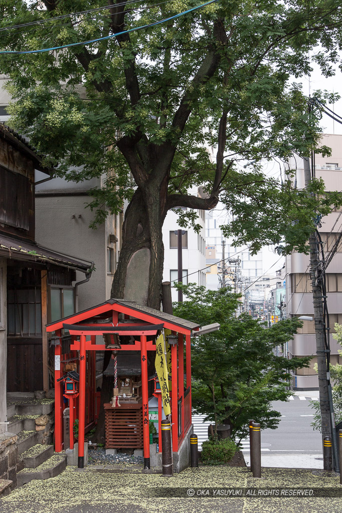 榎木大明神・熊野街道