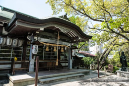 三光神社｜高解像度画像サイズ：5391 x 3594 pixels｜写真番号：1P3J2732｜撮影：Canon EOS-1Ds Mark III