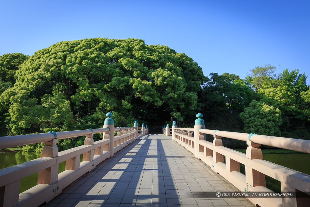 茶臼山古戦場