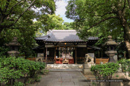 安居神社｜高解像度画像サイズ：4272 x 2848 pixels｜写真番号：IMG_0502｜撮影：Canon EOS Kiss X50