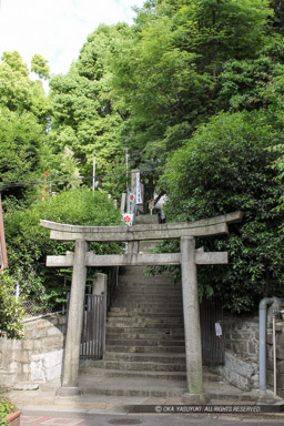 安居神社｜高解像度画像サイズ：2848 x 4272 pixels｜写真番号：IMG_0506｜撮影：Canon EOS Kiss X50