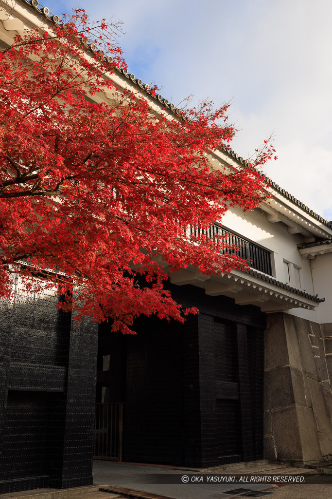 大阪城大手口多聞櫓の紅葉