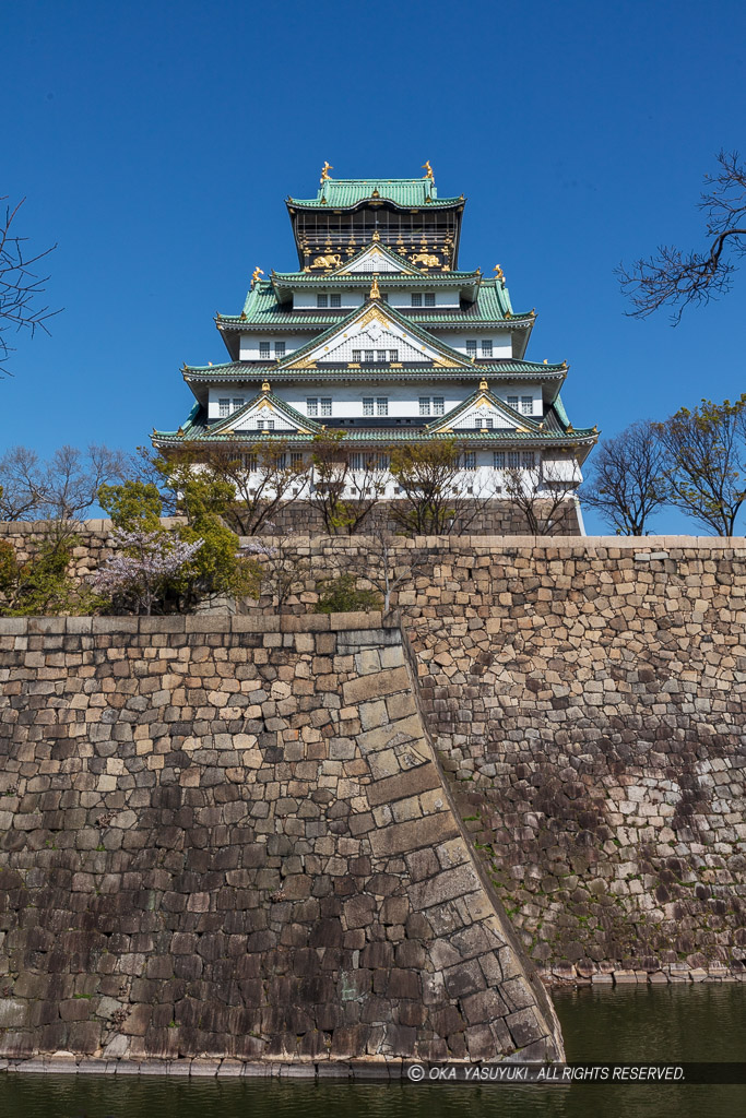 西の丸から見る大阪城天守閣・春
